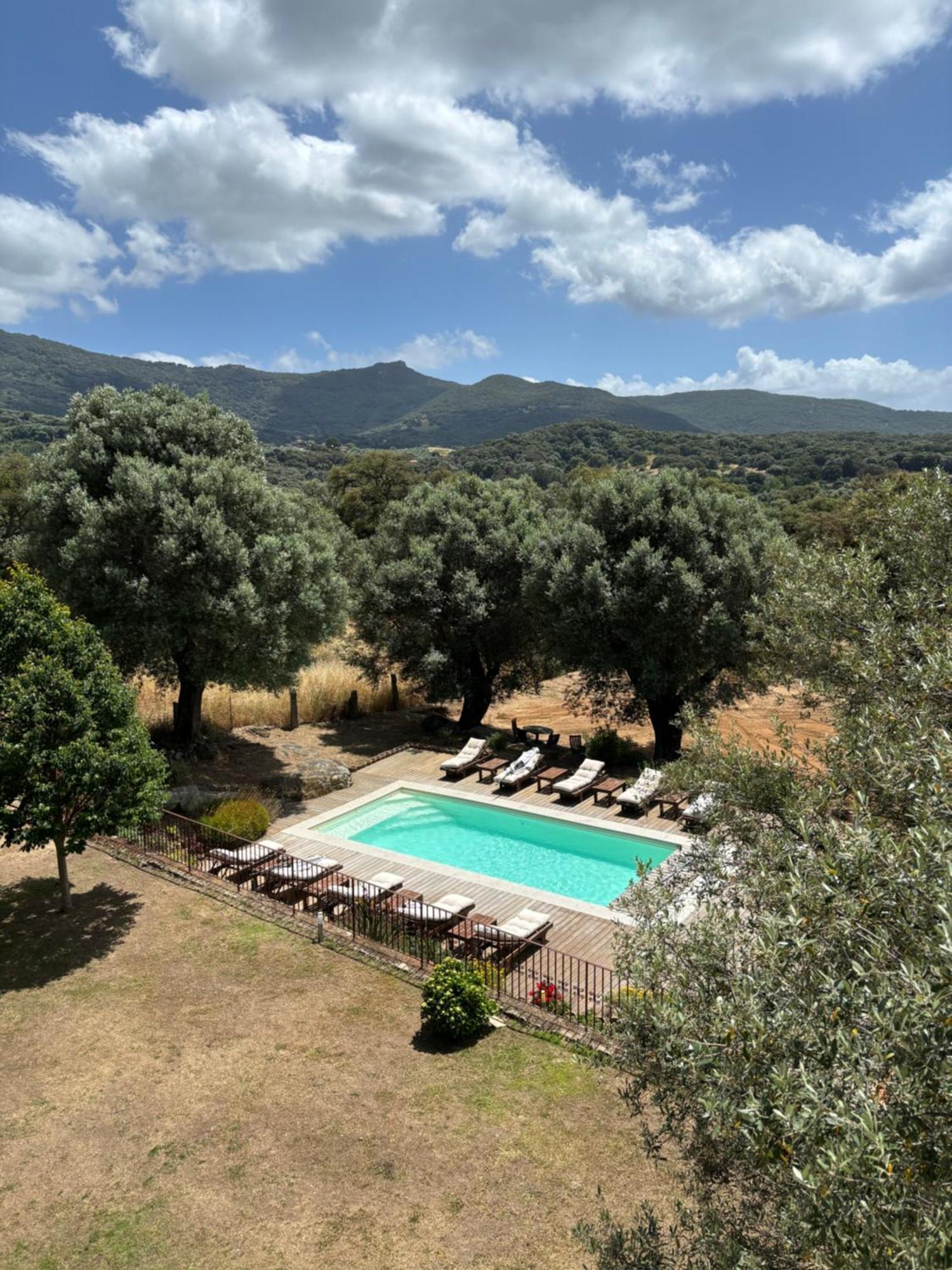 Domaine De Tappa - Casa Filicina Villa Sollacaro Exterior photo